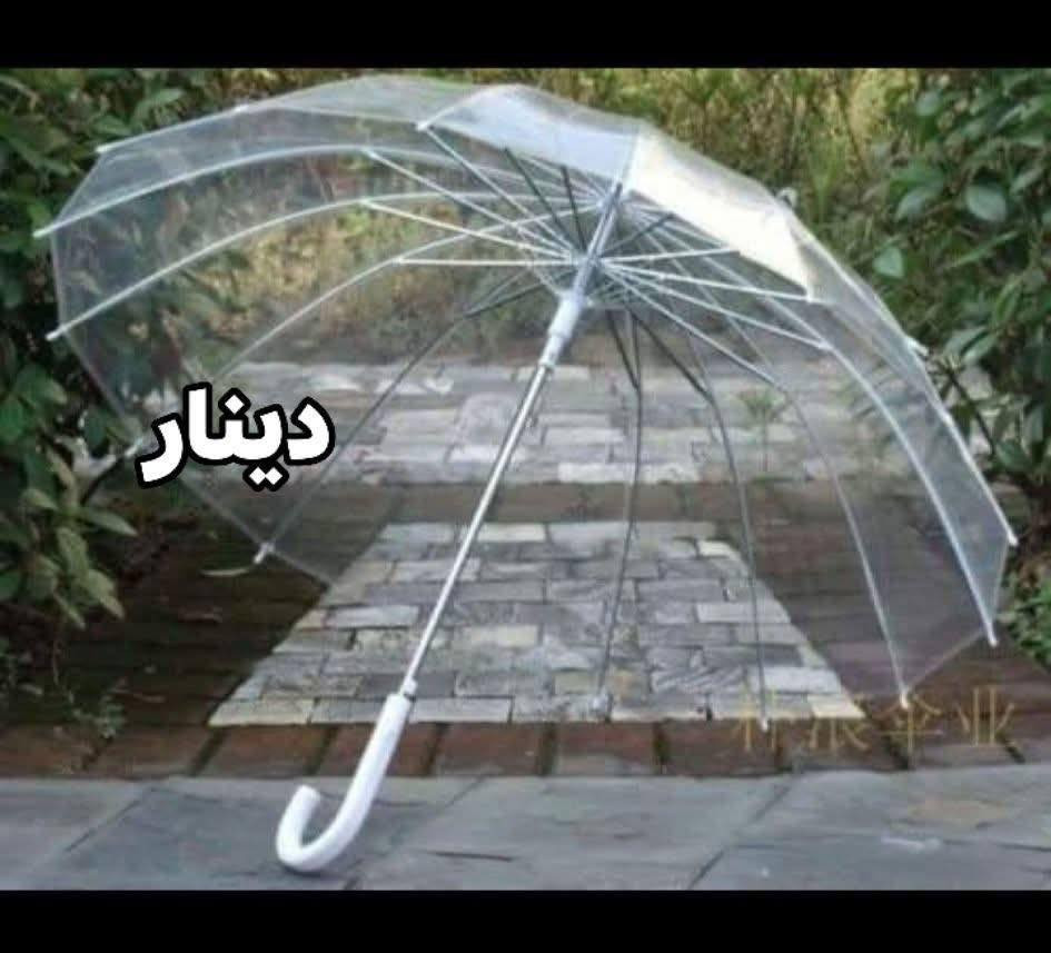 #الكيمة_محدوده_جداا⁉️سعرر3000 فقط

شمسيه مطريه شفافه☔️🌧️

نوعيه ممتازه جدا نايلون متين💯

متوفره بلون الشفاف الطيف الشتائي❄️
‏____________________________________________

للحجز والاستفسار يرجى مراسله الصفحه🤳
للحجز ع رقم وتساب 
7773332270📞
7716639035📞
يوجد توصيل
🚕 بسمايه الف
🚕 بغداد 5000
🚕وكل محافظات العراق 6000
يوجد دفع ماستر💰💰


**إذا كنت صاحب هذا الإعلان وتريد حذفه لأي سبب، رجاءا أرسل رسالة إلى الدعم الفني**