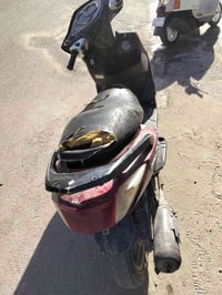 سكنس فحل ياباني خطين نوزل دراجه خير من الله   نكره سلف المكينه مجفته ا...