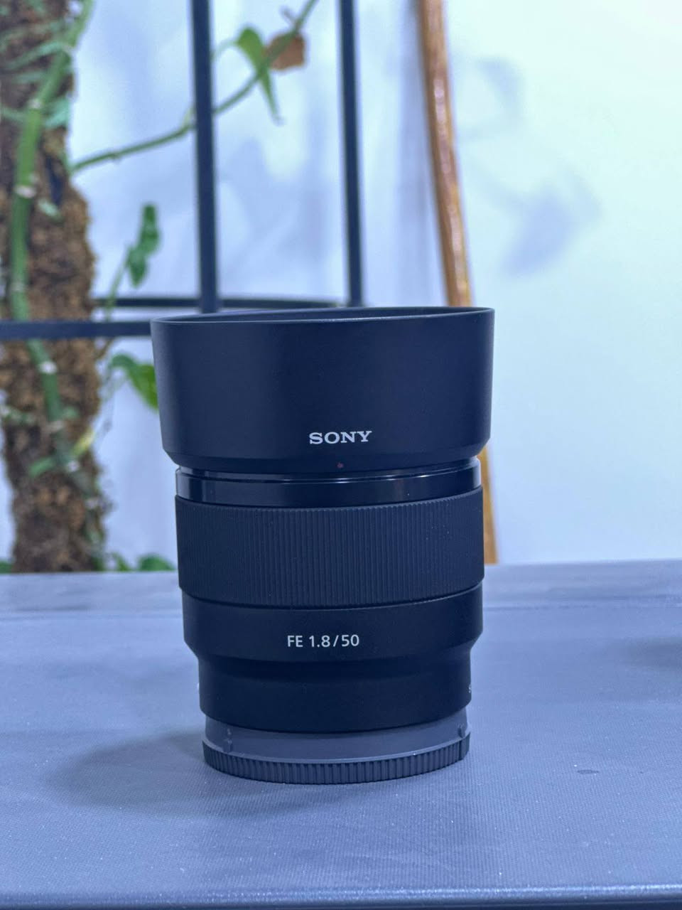 للبيع
عدسة سوني 50mm 

فتحة 1.8

مونيتر ( feel world ) f5 pro 

كراتين كامله چياسة كامله 

جدد استعمال مرة واحدة فقط

كربلاء المقدسة 
الاستفسار خاص او واتساب 
***********
