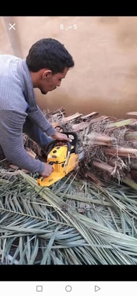 قصنا خلف قص ايجار 07832952810