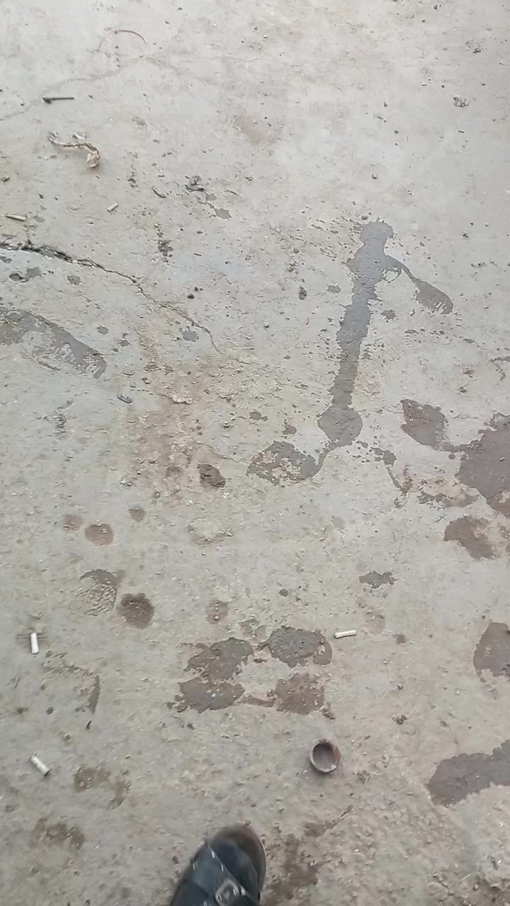 من رخصه الادمن
المحتوى داخل الفيديو
***********
المكان ابو غريب قرب معمل الالبان
