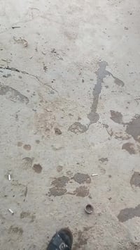 رخصه الادمن • فيديو • ابو غريب