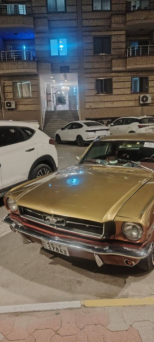 السلام عليكم موستنك كلاسك موديل ١٩٦٦ رقم أربيل سيارة جاهزة و بأسمي هزه وفحص جديد مكان السياره بغداد للبيع او مراوس السعر دفترين
***********
