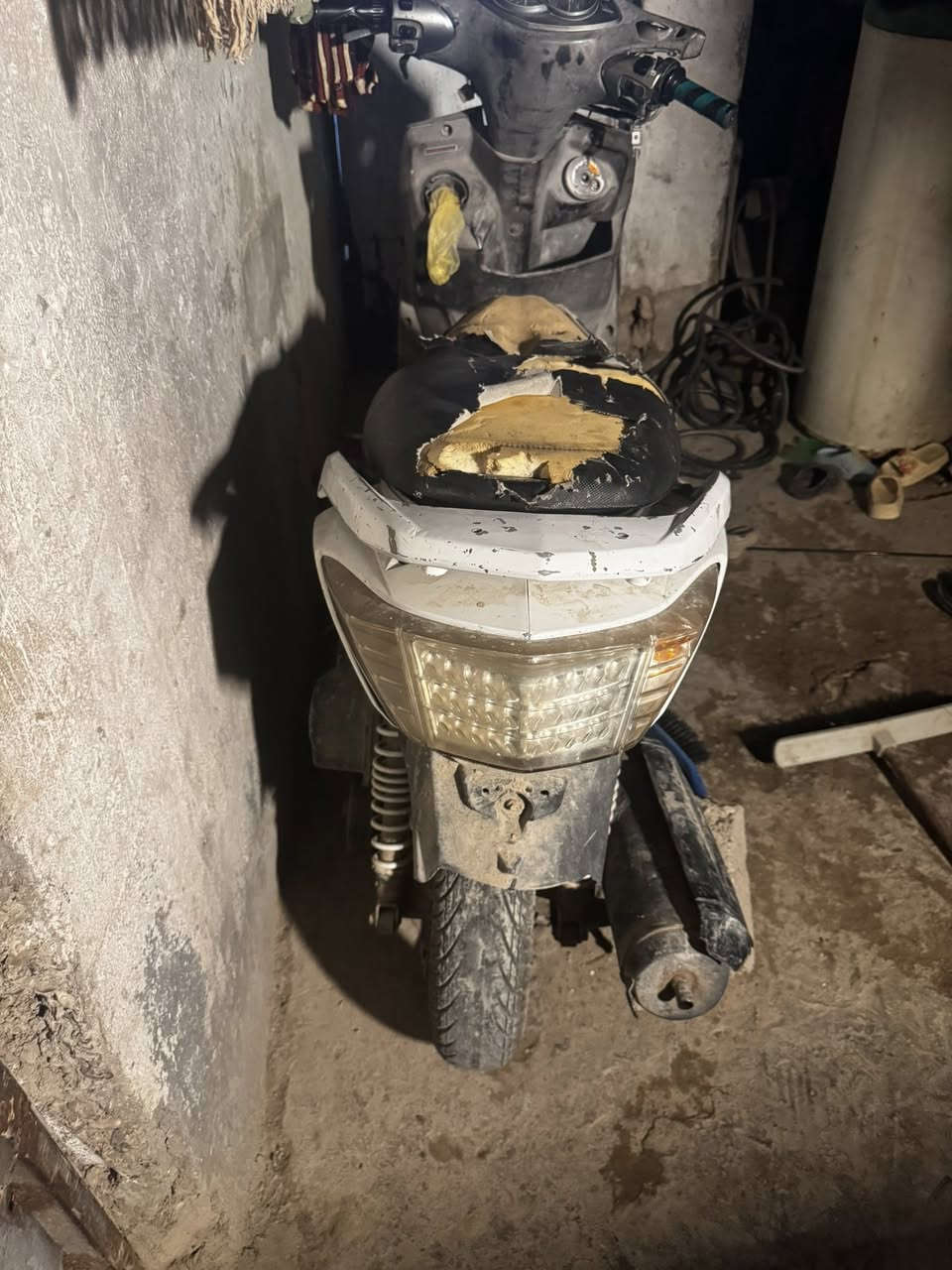 دراجه سكنس فحل يرادلها ترتيب شغاله بيها دخان وارداها  قبق هندرالسعر 250 وبيها مجال (ترهم مراوس ) بكان الزعفرانيه رقم ***********
