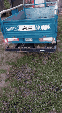 سلام عليكم ستوته موديل 23 سنويه مكاني عزيزيه راعيه يريد يحول ‏‪***********‬‏
