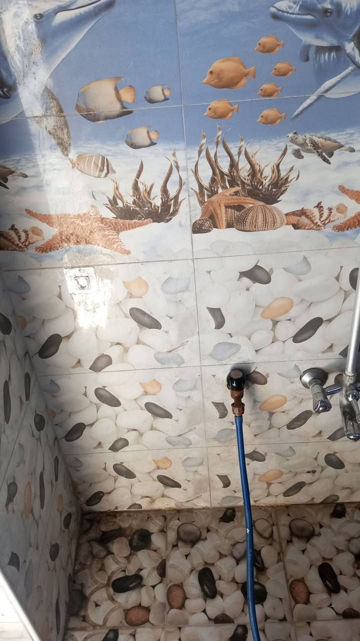 سلام عليكم عندي بيت للبيع مساحه 60متر يحتوي على غرفه وصاله ومطبخ واستقبال وصحيات بناء بيت بلوك أساس بيت صب كونكريت وسكف بيت كونكريت البيت مشترك بس أساس بيت كامل عايز بورك وسقوف ثانويه بيتونه مامبني  جاهز سيراميك ارضيات وجدار عنوان براكيه مقابل جامع الخزاعل سعر 18وبي مجال للاستفسار على رقم ***********
