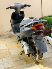 ياباني • فحل • متروكه ٣ أشهر