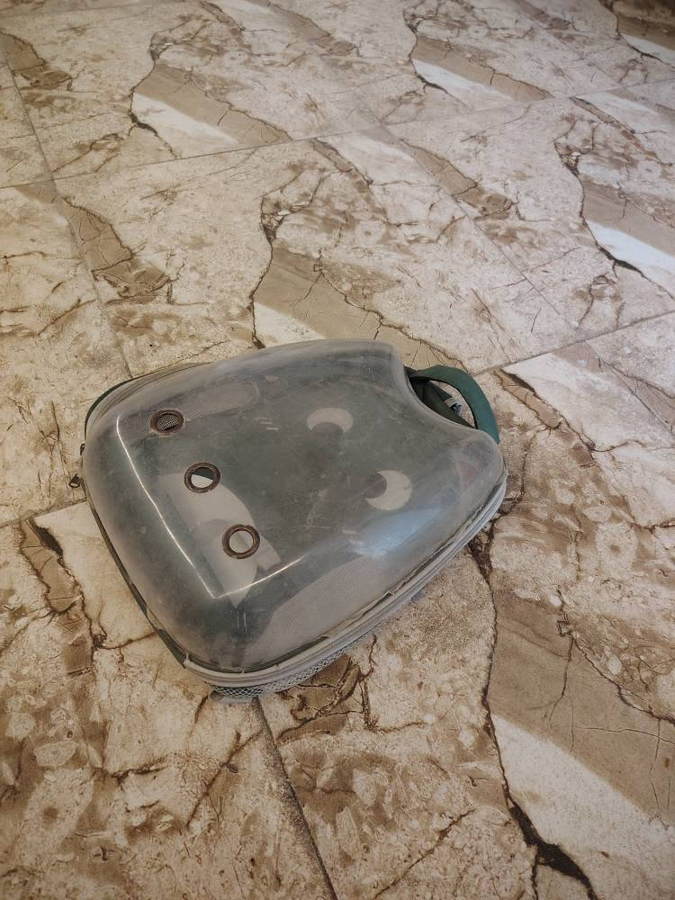 ‎بيت قطط جديد ما مستخدمابدأ مع حقيبه قطط جديده مع كلنس مرطب مع معطر قطط وكلاب سعرهم كامل 25‎ عمارة, ميسان


**إذا كنت صاحب هذا الإعلان وتريد حذفه لأي سبب، رجاءا أرسل رسالة إلى الدعم الفني**