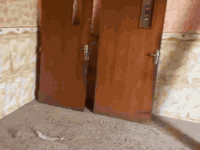 بيبان 8 للبيع كاملات مستخدمات خشب سعر الباب هوة ولجرجوبة مالتة 145 وبيهن مجال ***********
