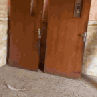 بيبان 8 للبيع كاملات مستخدمات خشب سعر الباب هوة ولجرجوبة مالتة 145 وبي...