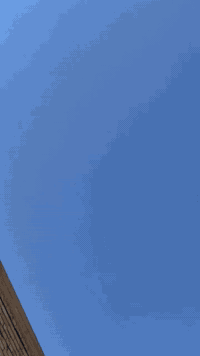 ماكس منغولي • كفاله عامه • حله يم جسر الثورا