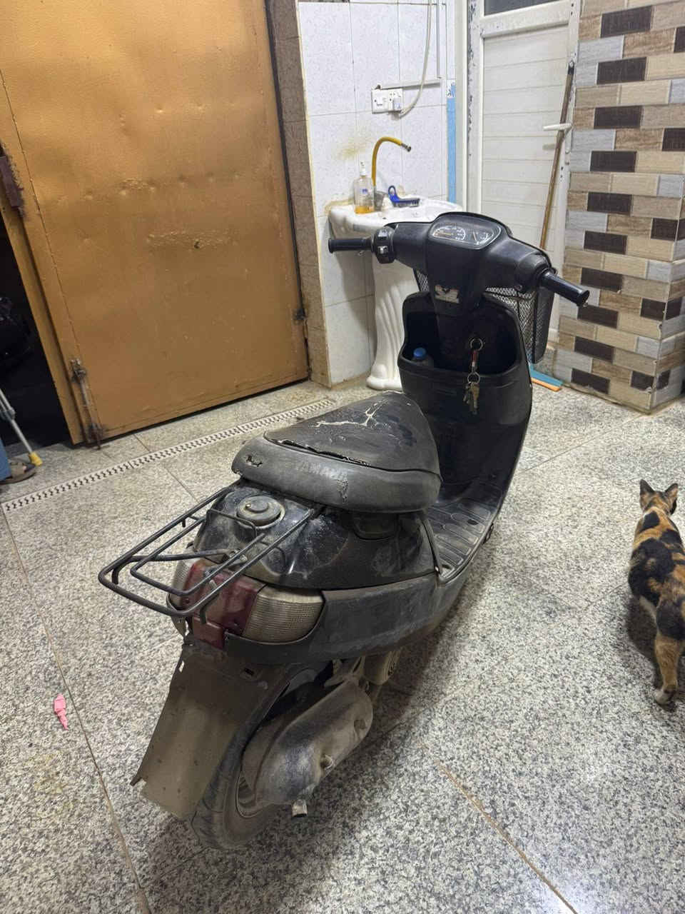 بطة للبيع 
السلام عليكم بطة للبيع موديل 99 مفتوحة مرة وحدة الدراجة كفراتها تجاري وكلها شغالة مابيها نقص عوزها غسل مافارغلها ب250 بيها مجال جداً بسيط 

واتساب مراسلة فقط ***********
