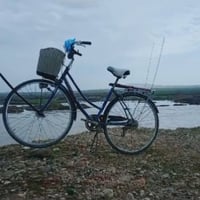 ياباني أصلي • مقاس ٢٧ • موديل ٢٠١٩