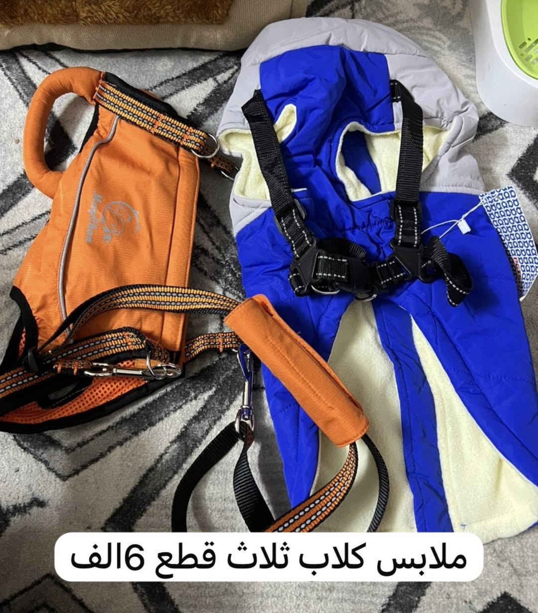 مامستخدمات الشراي خاص


**إذا كنت صاحب هذا الإعلان وتريد حذفه لأي سبب، رجاءا أرسل رسالة إلى الدعم الفني**