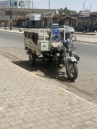 فحل • اوراق ٢٠ • تعمير ٢٤