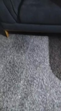 تخم • كرسي • للبيع