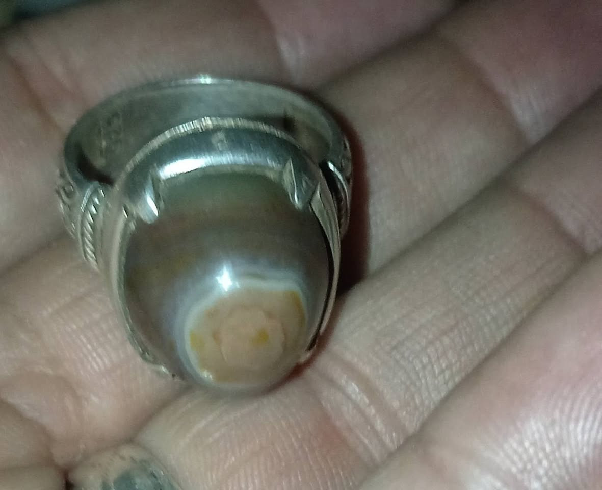 للبيع اربع محابس شلعه وحده 150الف يتفضل خاص او يتصل ***********
