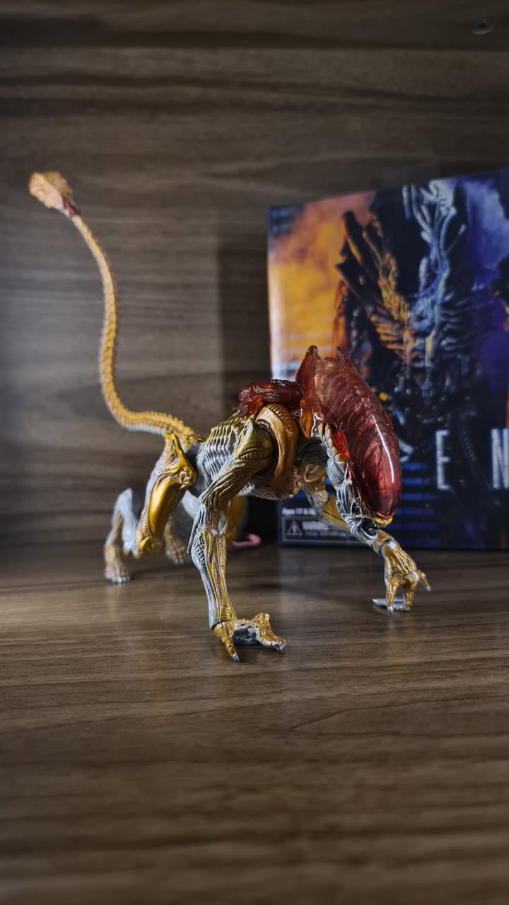 متوفر Neca Aliens action figures 🔥🔥🔥🔥
المجموعة الثانية
.
تزامنا مع صدور مسلسل Alien : earth 
نعرض لكم مجموعة مجسمات مفصلية من مختلف اصدارات السلسلة الشهيرة Alien
.
الاسعار للقطعة ٢٠ ألى ٣٥ الف حسب القطعة 
للطلب مراسلة الصفحة 
.
توصيل لجميع محافظات العراق 
تابعوا الصفحة للاطلاع على باقي المجسمات التي سيتم نشرها🔥


**إذا كنت صاحب هذا الإعلان وتريد حذفه لأي سبب، رجاءا أرسل رسالة إلى الدعم الفني**