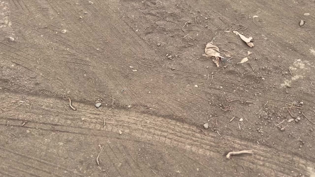 سلام عليكم دونم للبيع ابو غريب 10 مناصير الدونم داير مدايره شاليهات ومزارع ترفيهيه وكافه الخدمات موجوده ماء وكهرباء وخدمات اخرى للتواصل***********
