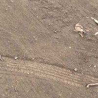 ابو غريب 10 مناصير • ٢٥٠٠م • شاليهات ومزارع