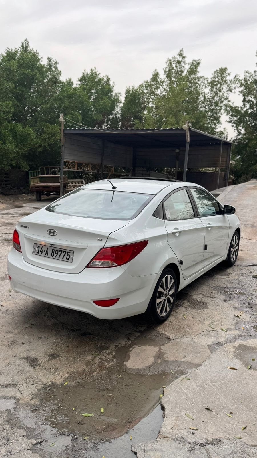 هونداي اكسنت 2016 خليجي 
كفاله عامه 
مكينه 1600 
مكينه كير حداده تبريد كفاله 
شاشه 
اشاير بل مري 
فتحه 
مواصفات الاكسنت معروفه 
كير دبل قطره مرغوب 
