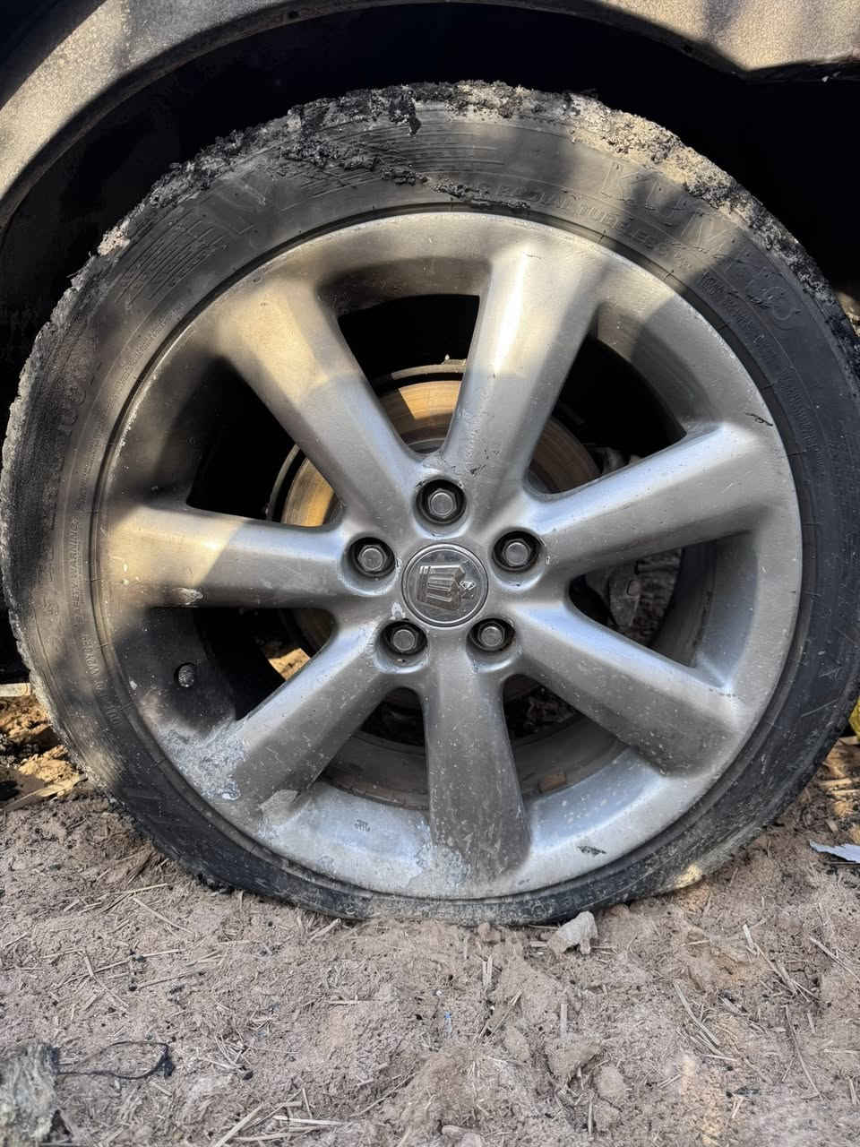 ويل تخم شاهين
***********
