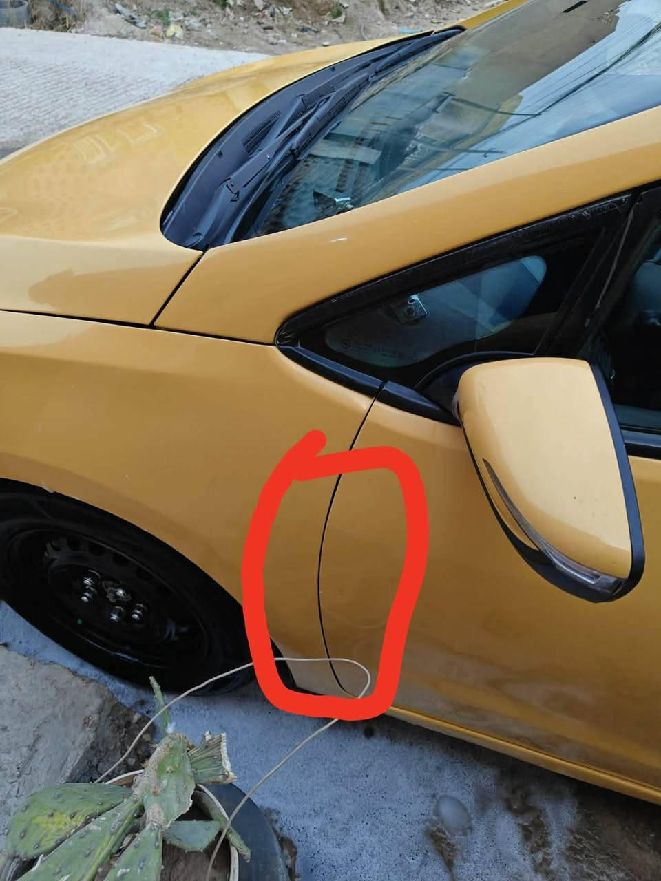 فورتي وارد امريكي
السعر 108
ليبل واحد بيهه طختين فقط مأشر عليهن
 حداده امامي خلفي نفض 
مشط قبل شهر مشدود بيهه مال حاويه
تخم تاير تخم دسكات كير بلاد 
مكينه مامفتوح برغي بيهه لابخار لاتنقيص 
تبير تدفه مدوشمه 
مكانهه كوت واسط  مركز مدينه 
تحويل ثاني يوم  الشراي يتصل عل رقم 
***********
