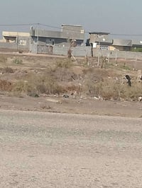 حسينية • موكب • ٣٥٠م