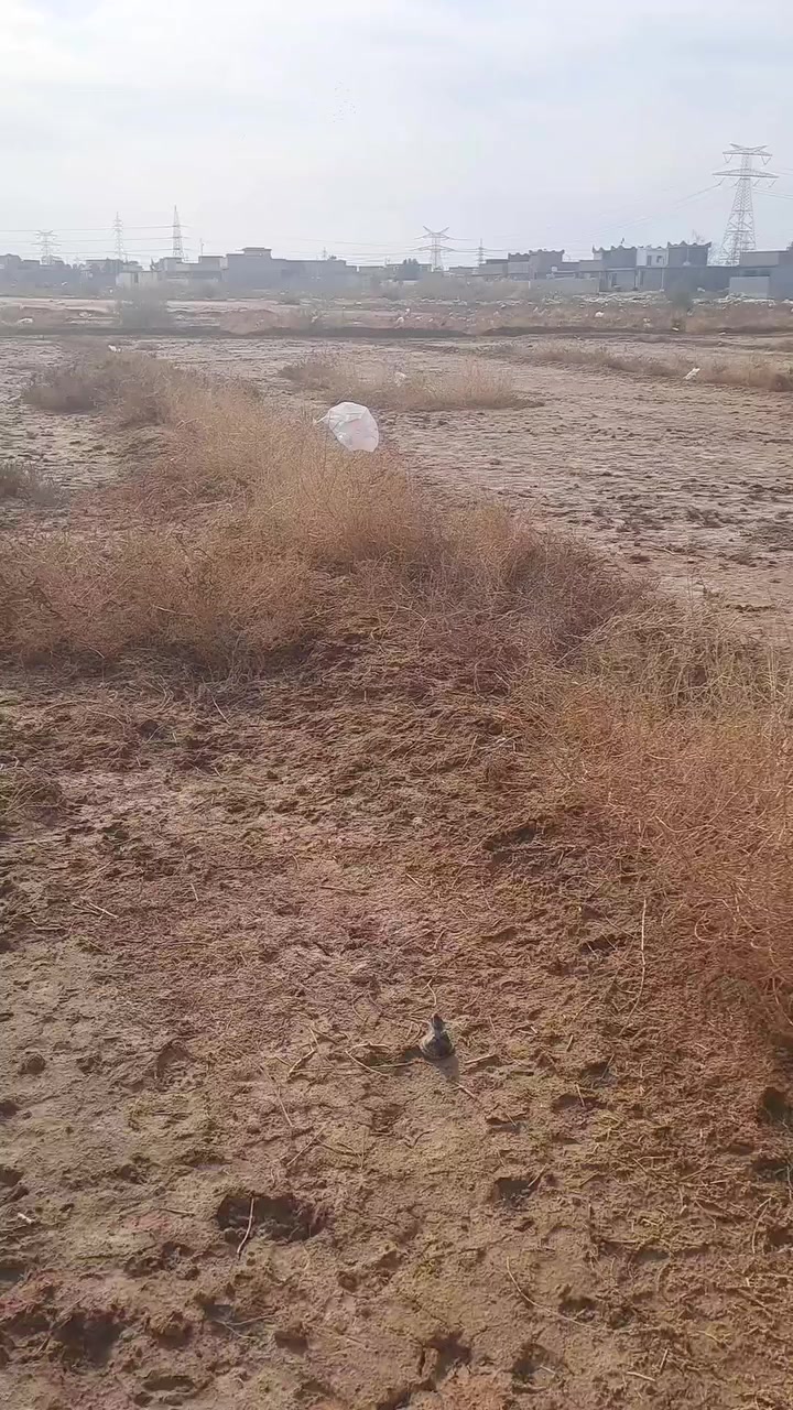 السلام عليكم يوجد.اربعه دونم ونص مقابيل النازحين خط ثالث
الشراي خاص كل الخدمات متوفره ع شارعين رقمي ‎ ***********بيه واتساب
