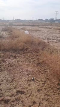 مقابيل النازحين • ٤٫٥ دونم • واجهة على شارعين