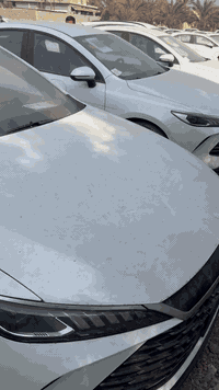 وصول وجبه جديده 
              جن بلاص ٢٠٢٥

٢٠٢٥/١٢/١

رح يكون السعر. ١٧٩٠٠

***********
