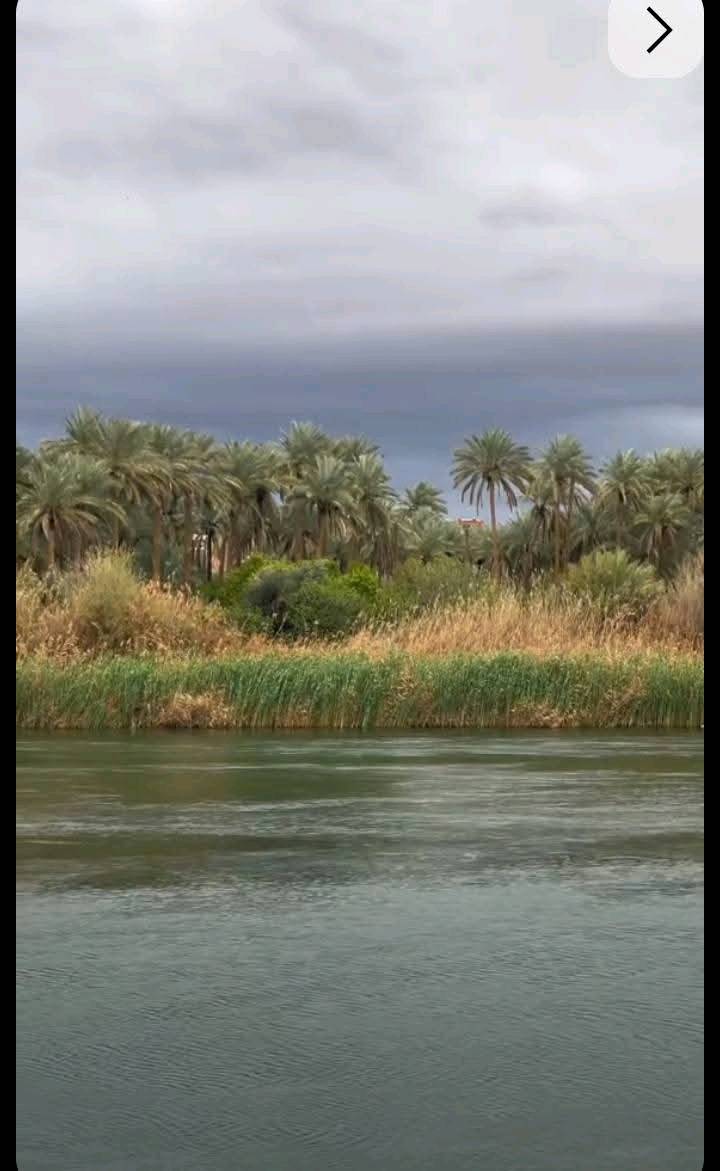 كاع 28 دونم 891 واك
وجه 167متر نزال 174متر تحتوي على 4 بيوت واجه على نهر روائي 
وخلف الأرض اكو نهر ماء حلو بيها 250 نخله وكافة الخدمات تبعد عن طريق بغداد كربلاء كيلو ونص تبليط طابو زراعي سند 25 بسم ابو الكاع نفسه  سعر الدونم 80 مليون  للاستفسار الاتصال على الرقم ***********