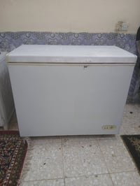 مجمدات • للبيع • ابوغرق