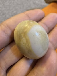 للبيع • المراوس • متفرقات