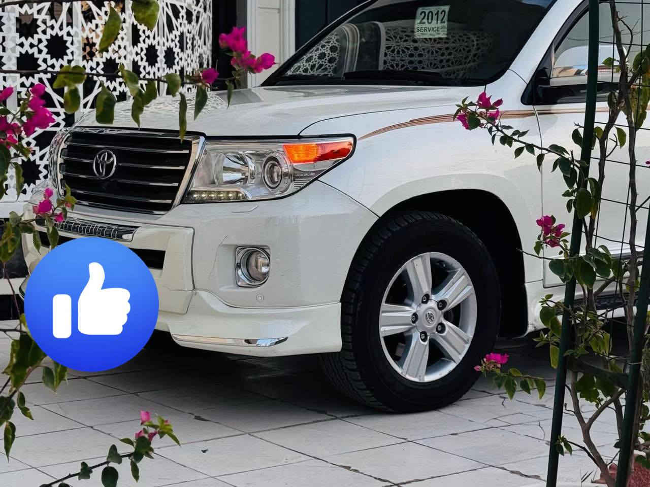 سلام عليكم ورحمة الله وبركاتة سياره الاندكروز سياره جديده وحلوه موديل 12سياره بيهء ضربه بصيطه بل بنيد 
سياره بيع مستعجل السعر خاص الستفسار الرقم ***********     ،،،،،، ***********
