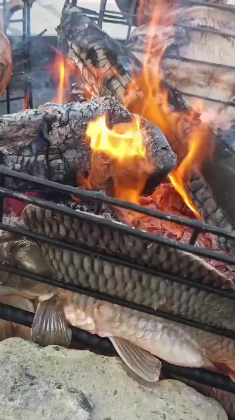 يتوفر سمج +دجاج شوي على فحم 
‪***********‬‏
***********
