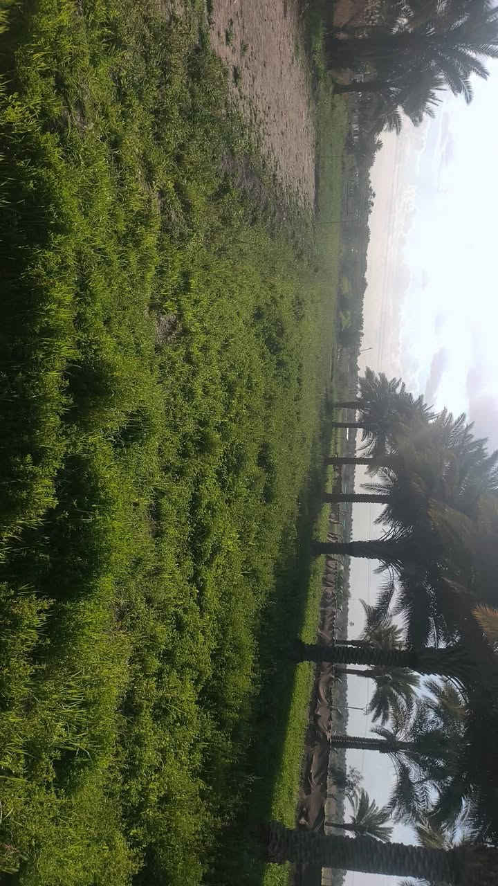 🔔 للبيع | عقار – أرض زراعية مع بيوت سكنية
📍 الموقع: حلة – مجرية، قريب جدًا من مدرسة جماهير
🟢 تفاصيل العقار:
أرض زراعية مساحتها 2 دونم
بيتين سكنيين (بيت ثاني بناء جديد)
كل بيت يحتوي على:
غرفتين 🛏
مطبخ 🍽
صاله
مجمع صحيات مستقل 🚿
🟢 توزيع المساحة:
مقابل البيت: نصف دونم
خلف البيوت: 1.5 دونم
مضيف خارجي بطول 12 متر
🌴 مميزات إضافية:
حديقه داخليه 
أكثر من 20 نخلة حمالة
خدمات كاملة: ماء وكهرباء ⚡💧
التبليط قيد العمل وقريب الإنجاز
مجاور نهر حمزاويه 
موقع هادئ ومناسب للسكن 
قريب من الخدمات والمدارس
ارض طابو زراعي سند 25
📞 للاستفسار والمعاينة التواصل _ ‏‪***********‬‏
