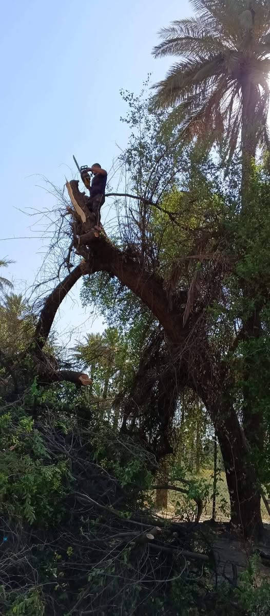 كادر محترف في  مجال التقطيع
 واتساب ***********

 👍👍✅
شعارنا المصداقيه @الجميع
