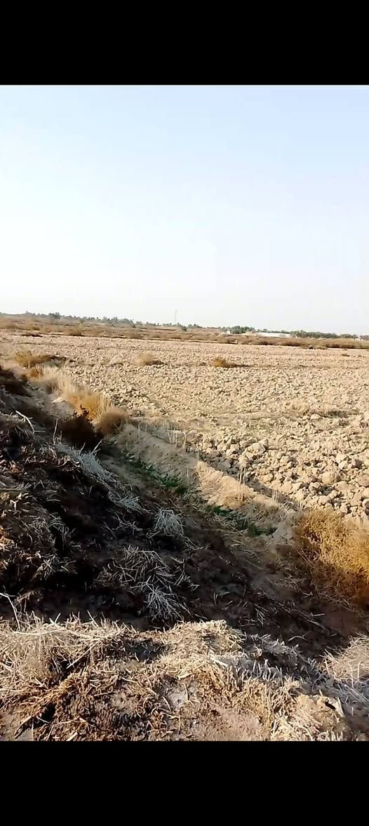 السلام عليكم كاع زراعيه عد ال عواد للبيع مساحة الكاع دونمين ونص وجه الكاع 25 نزال الكاع 250 متر  سعر  15وبيه مجال بسيط رقم للتواصل ***********
