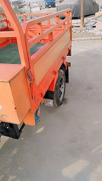 ستوتة ليفان • رقم ابيض • سنوية