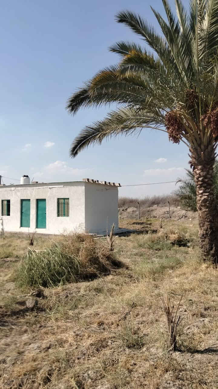 مزرعة مساحتها دونم و(٣٠٠م) مسيجة بي ار سي وبيها غرفتين وخدماتهن وكهرباء وعلى شارع رئيسي تبليط موقعها الدورة عرب جبور شارع 37 قرب تل أعمر ومضيف شيخ شفيق المعجون الجبور ومزورعة نخل٥٥نخلة وجت السعر ٤٠ واقع حال 
*********** واتساب ابو ليث 
***********
