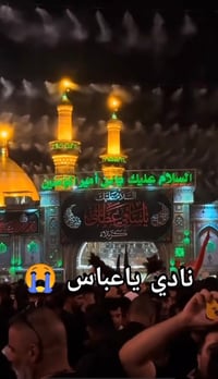 زيارة كربلاء • ٧ محرم • حملة وسام حميد