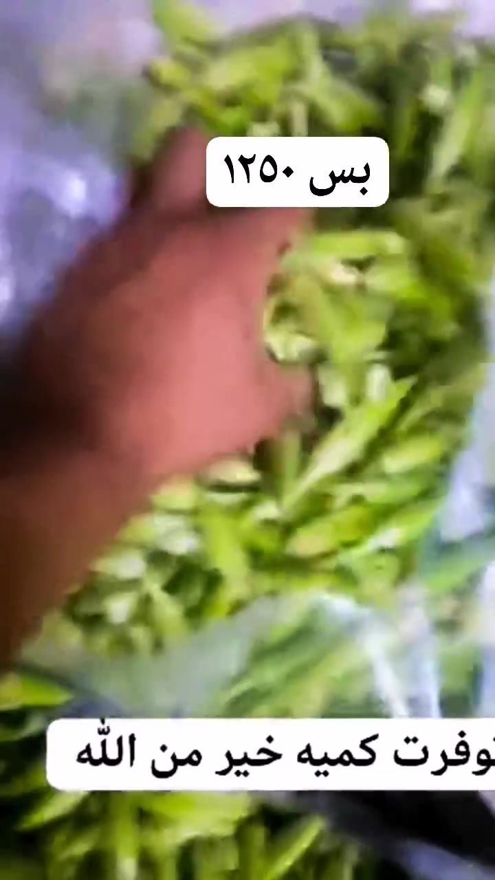 المكان مهناويه لايوجد توصيل اليريد بيه خير ويدلل


**إذا كنت صاحب هذا الإعلان وتريد حذفه لأي سبب، رجاءا أرسل رسالة إلى الدعم الفني**