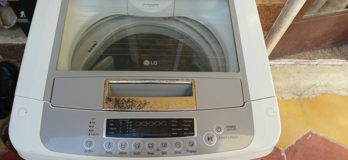 السلام عليكم
غسالة LG توربودرم وكالة الاصلي
12 كيلو
نضيفة كلش وشغالة بيها تصليح بالبدي من جوة خياس
وصلحنا وبيها حساس الباب بدلنا فقط الباقي نضيف كلش شغالة مابيها كل مشكلة وعالفحص
سعرها 175 وبيها مجال 

مكاني ديوانية الاسكان قرب المعهد
تفاصيل اكثر اتصال او واتساب 
***********
