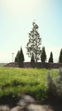 باشور سيتي • أرض ١٥٠م • أوراق قانونية