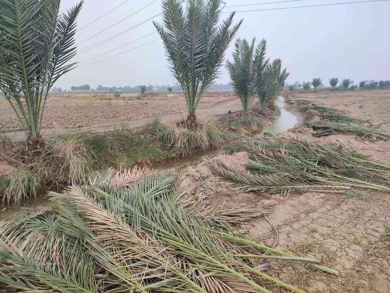 ارض زراعيه اربعه دونم بيهه نخيل مزروعه بحدود الأرض المكان طريق حله كفل تبعد عن الشارع العام اكثر من كيلو متر والفرعية تبليط مع كهرباء قرب الأرض السعر ٢٥ مليون سعر الدونم الواحد للاستفسار اتصل على الرقم
***********
