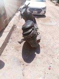 دولفين • كهربايات شغاله • عوزه جوزه