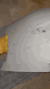 مرخصه الاادمن المحترم شباب عندي دعاميه جارجر موديل ١٦ بيضه مامصبوغه بي...