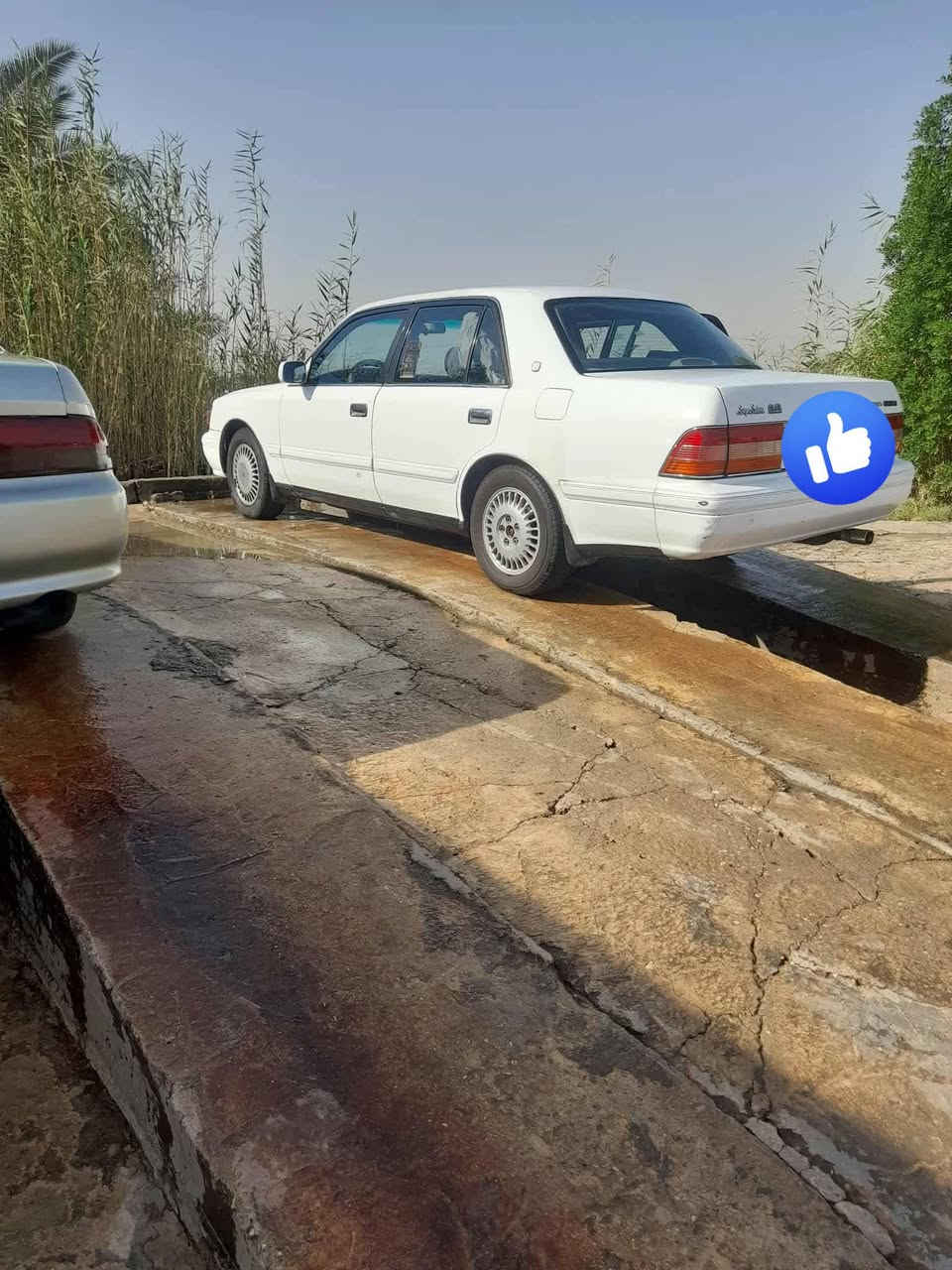 السلام عليكم للبيع راس ثور ايسر بلاد موديل 98 رقم بغداد مكاني ديوانيه للستفسار الاتصال ***********
#مكلف بلنشر
