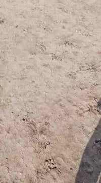 قطعة للبيع مساحة 740متر الموقع شارع المطار بالقرب عن مدرسه المختار رقم...